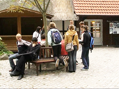 6e.jpg